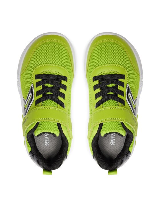 Geox Geox Tenisice J Assister Boy J45DZC 014CE C3707 S Zelena