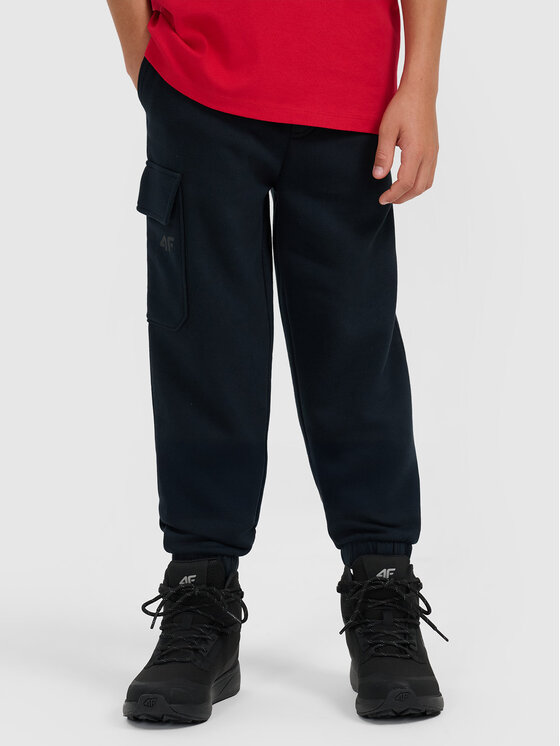 4F 4F Spodnie dresowe APRES SKI Granatowy Regular Fit