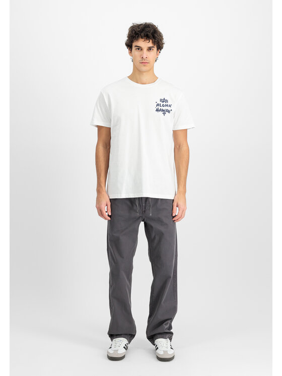 Alpha Industries Alpha Industries Szorty Basic Cotton Pant Szary Straight Leg