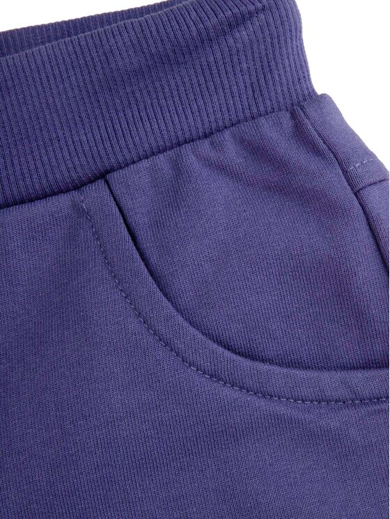 Coccodrillo Coccodrillo Спортни шорти WC5120401VGC Виолетов Regular Fit