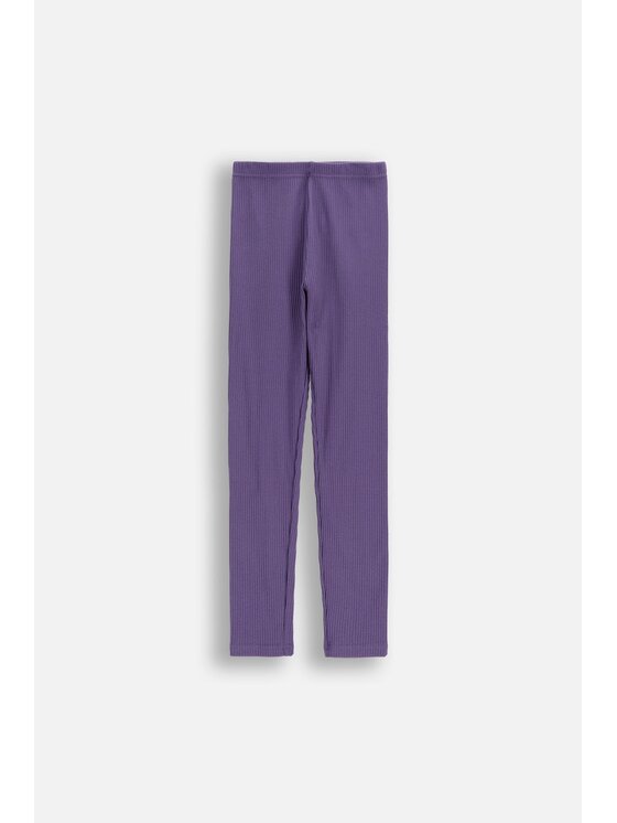 Dziecięce Legginsy Coccodrillo, Rozmiar 134, Fioletowe, WC6122101VGA-016