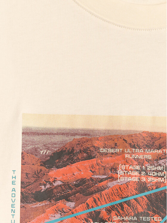 4F 4F T-Shirt LIMITLESS DESERT Biały Regular Fit