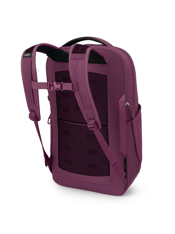 Osprey Osprey Plecak 326649 Fioletowy