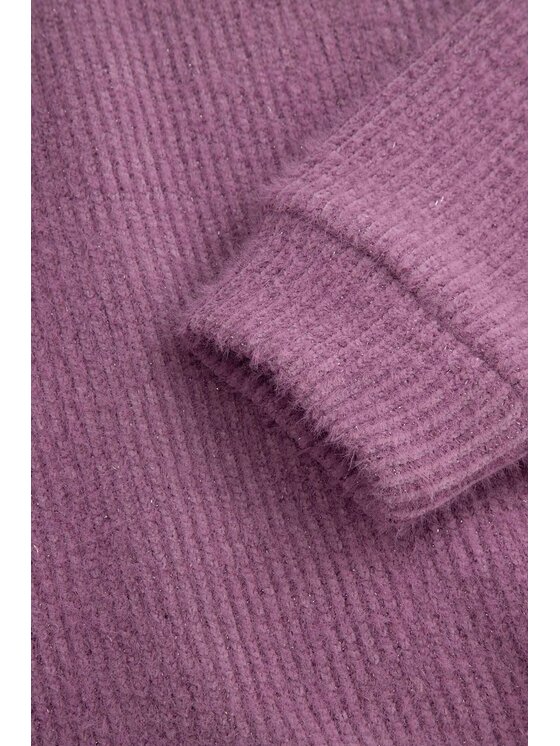 Coccodrillo Coccodrillo Mikina ZC5132102WGJ-016 Fialová Regular Fit