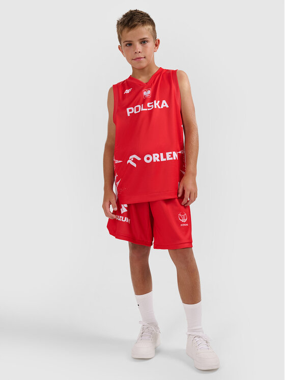 4F 4F Koszulka techniczna TEAMWEAR Kolorowy Regular Fit
