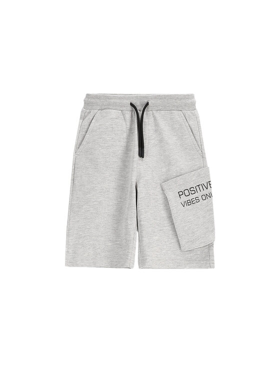 Coccodrillo Coccodrillo Pantaloni scurți sport WC5120501VBC Gri Regular Fit