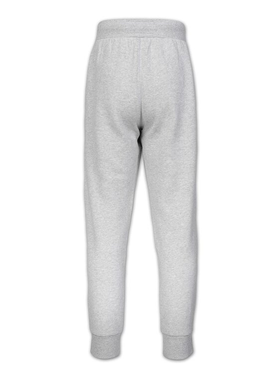 PITBULL PITBULL Spodnie dresowe SMALL LOGO HD Szary Regular Fit