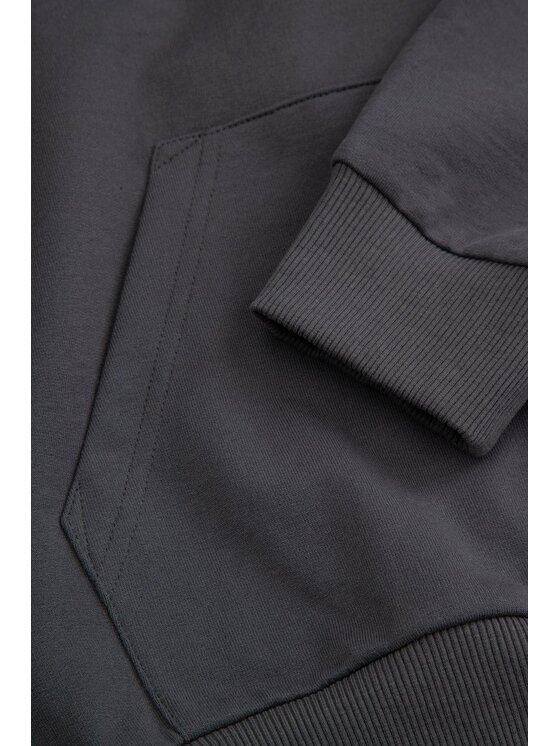 Coccodrillo Coccodrillo Mikina WC6132301VBA-020 Sivá Regular Fit