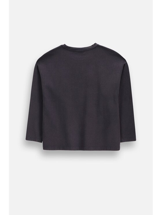 Coccodrillo Coccodrillo Longsleeve ZC6143101HGJ-020 Szary Regular Fit