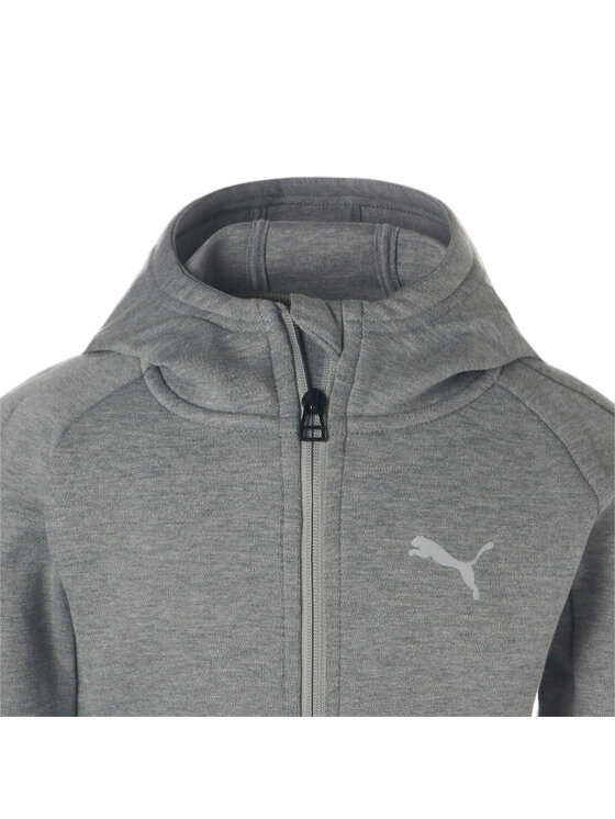 Puma Puma Bluza 846989 Szary Regular Fit