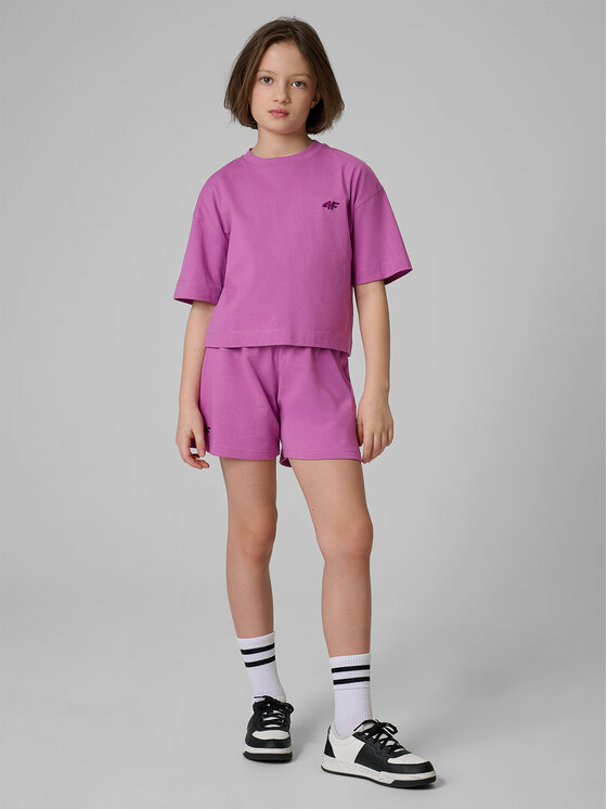 4F 4F T-Shirt JELLIFICATION Fioletowy Loose Fit