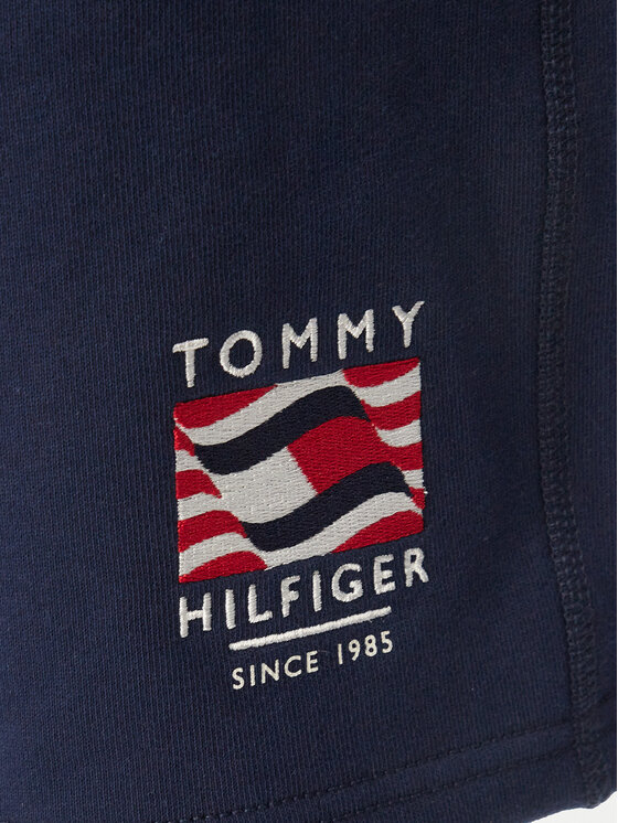 Tommy Hilfiger Tommy Hilfiger Spordišortsid Rwb MW0MW43384 Tumesinine Regular Fit