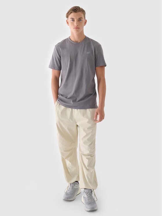 4F 4F T-Shirt 4FWMM00TTSHM2256-25S Szary Regular Fit