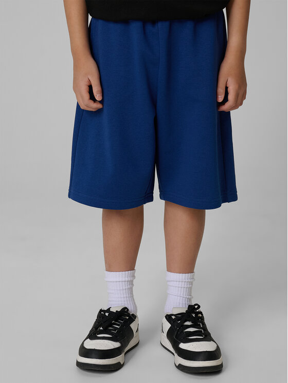4F 4F Szorty sportowe WAVE RIDERS CLUB Granatowy Loose Fit