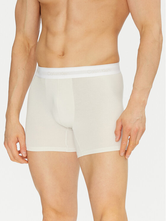 Calvin Klein Underwear Calvin Klein Underwear Set od 3 para bokserica 000NB3954A Šarena