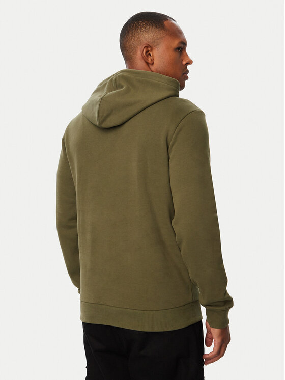 Napapijri Napapijri Bluza Burgee Wint 4 NP0A892T Zielony ciemny Regular Fit