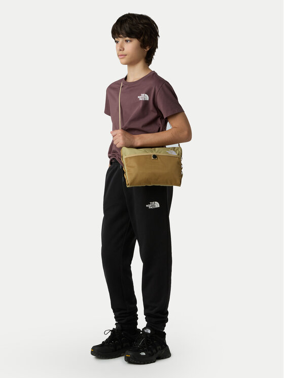 The North Face The North Face T-shirt Simple Dome NF0A87T4 Marrone Regular Fit