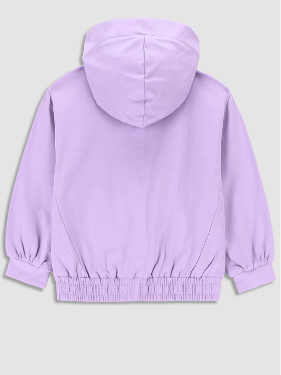 Felpa WC3132401RPK Viola Regular Fit