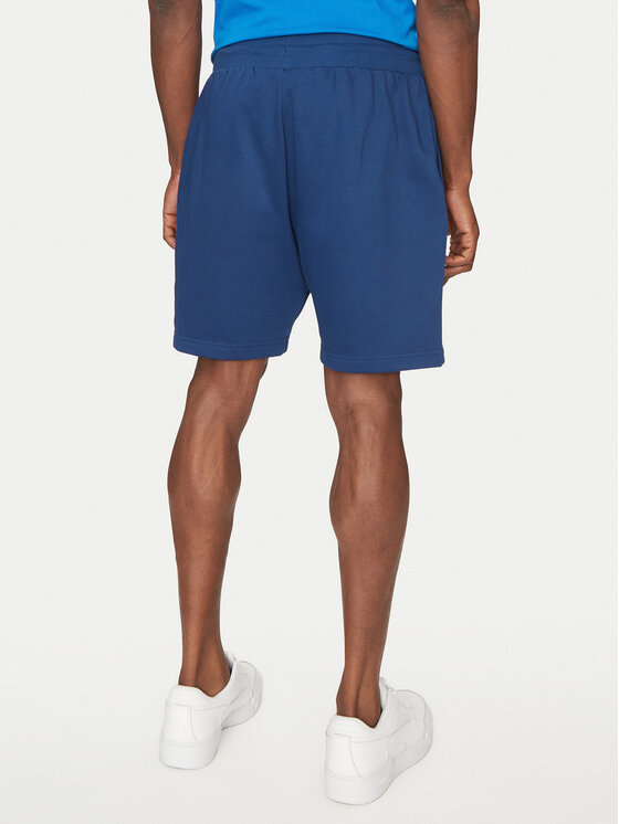 The North Face The North Face Sportske kratke hlače Nse Box NF0A8C1J Plava Regular Fit