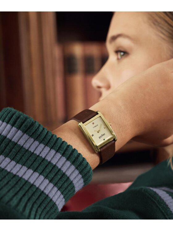 Timex Timex Hodinky TW2Y75700 Hnedá