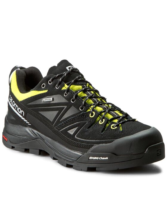 Salomon alp sale ltr gtx