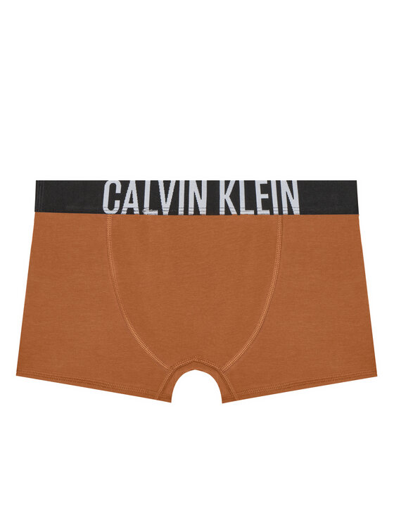 Calvin Klein Underwear Calvin Klein Underwear Комплект боксерки B70B700509 Цветен