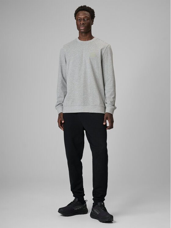 4F 4F Longsleeve FLUID EXPRESSIONS Szary Regular Fit
