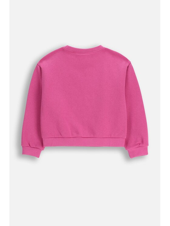 Coccodrillo Coccodrillo Bluza ZC5132102AGK-007 Różowy Regular Fit