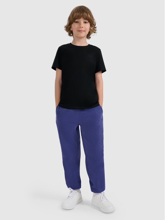 4F 4F T-Shirt BASIC+ Czarny Regular Fit
