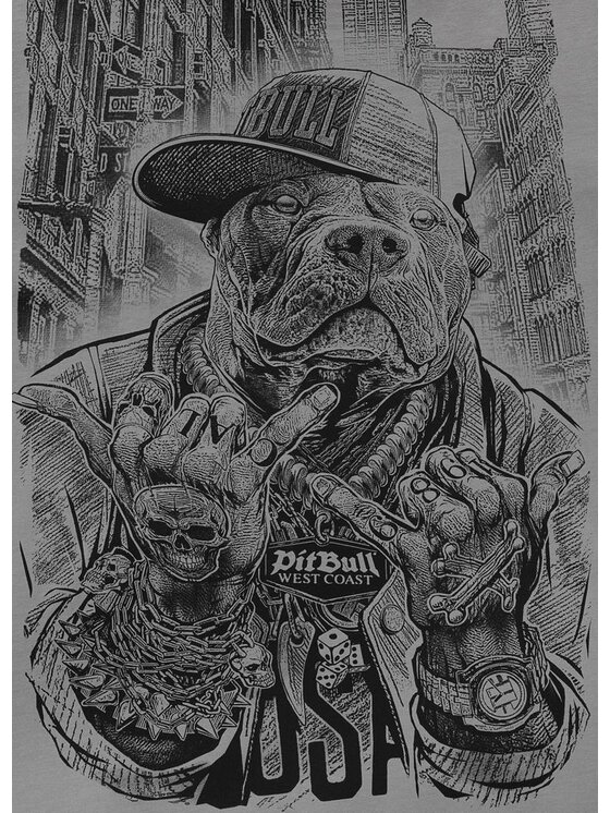 PITBULL PITBULL T-Shirt PITBULL AVENUE Szary Regular Fit