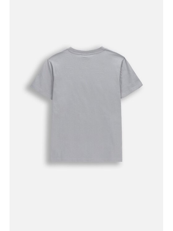 Coccodrillo Coccodrillo T-Shirt WC6143209VBA-019 Szary Regular Fit