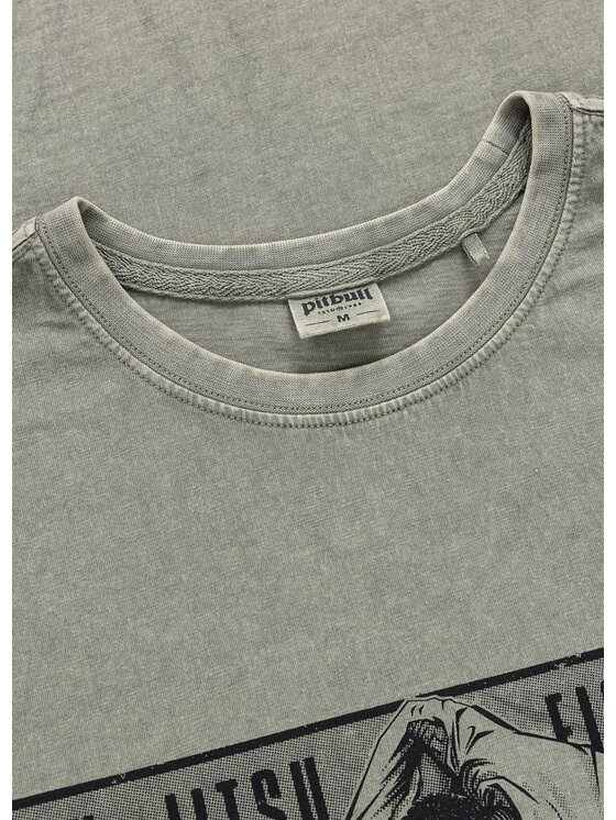 PITBULL PITBULL T-Shirt JIU-JITSU FIGHT DVSN Zielony Regular Fit