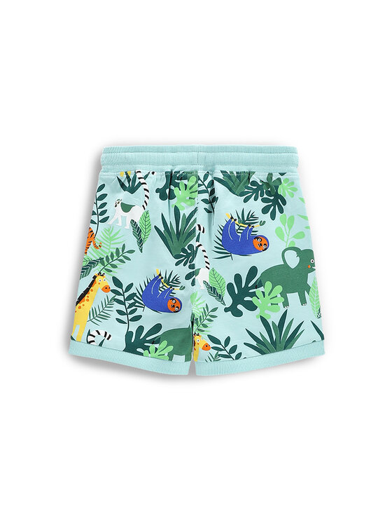 Coccodrillo Coccodrillo Sportovní kraťasy WC5121503TBN Zelená Regular Fit