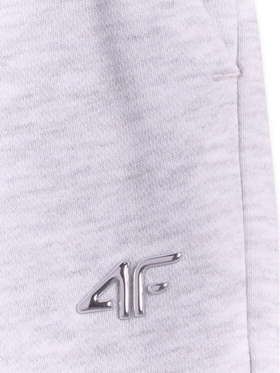 4F 4F Spodnie dresowe basic Szary jasny Regular Fit