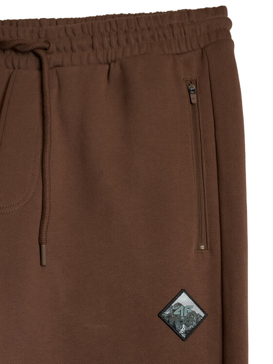 4F 4F Spodnie dresowe OVERLAND Brązowy Regular Fit