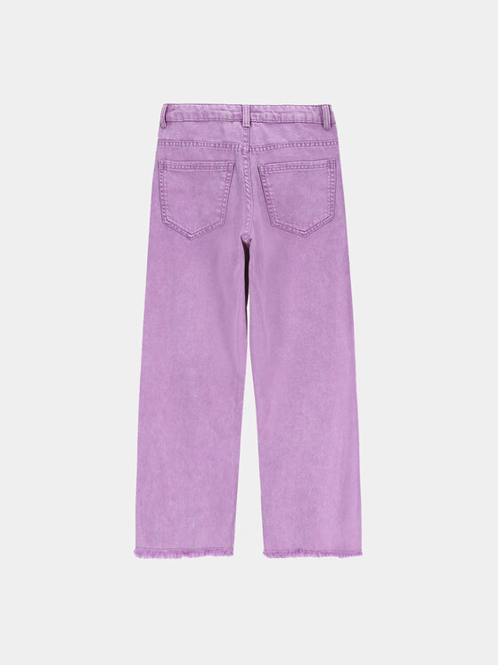 Coccodrillo Coccodrillo Jeans hlače ZC3123102JCG Vijolična Regular Fit