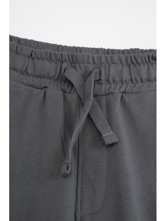 Coccodrillo Coccodrillo Spodnie dresowe ZC4120104ABJ-020 Szary Slim Fit