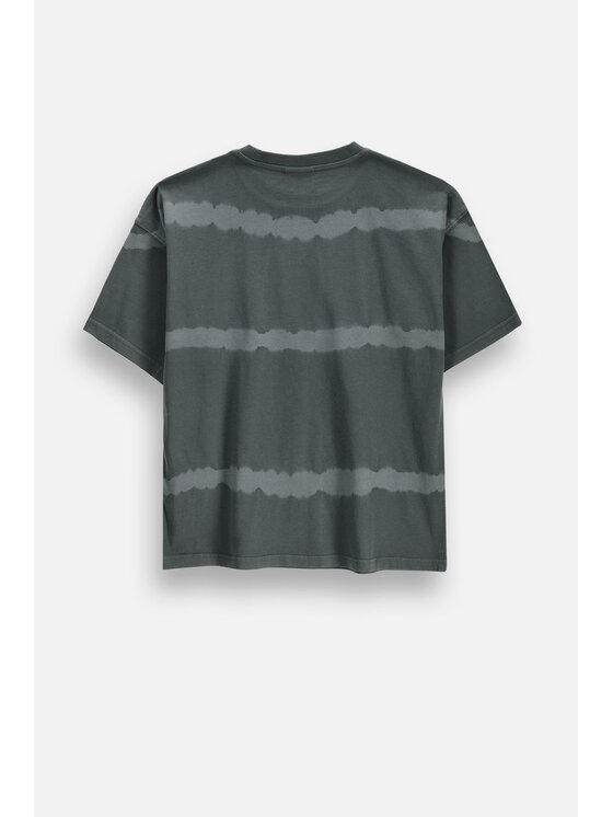 Coccodrillo Coccodrillo T-Shirt ZC6143201RBJ-020 Szary Regular Fit