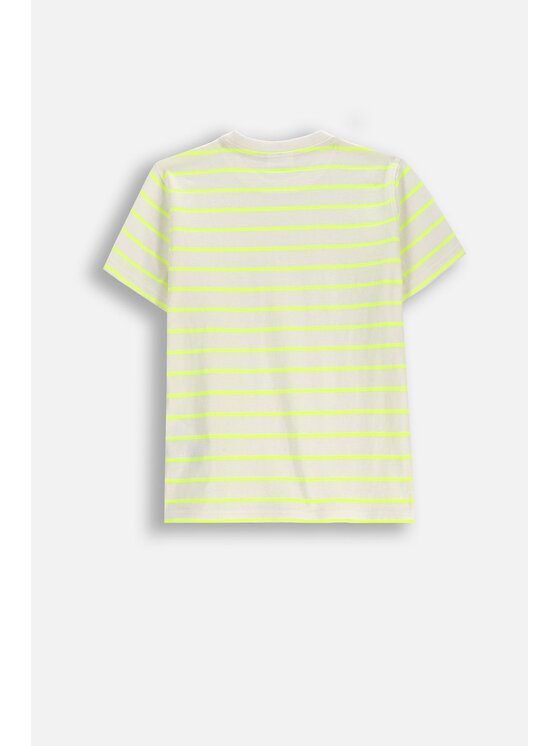 Coccodrillo Coccodrillo T-Shirt WC6143205NBJ-004 Żółty Regular Fit