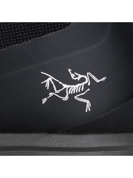 Arc'teryx Arc'teryx Παπούτσια πεζοπορίας Acrux Tr Gtx M GORA-TEX 072123-411271 G0 Μαύρο