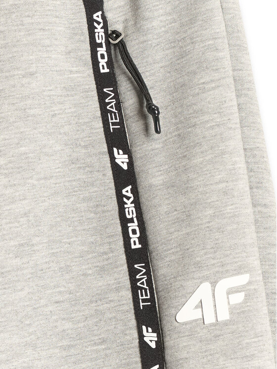 4F 4F Joggery STREFA KIBICA Szary jasny Regular Fit