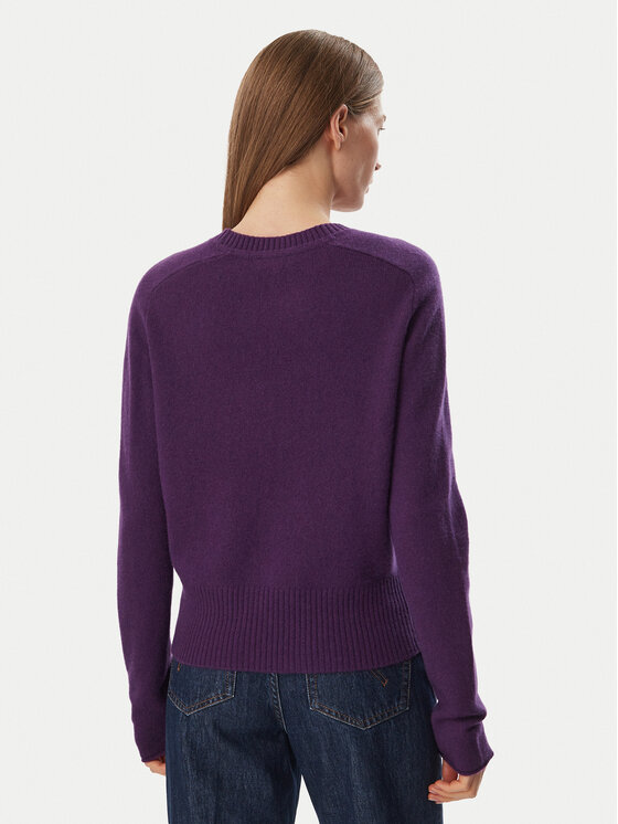 Tommy Hilfiger Tommy Hilfiger Pullover WW0WW51432 Violett Regular Fit