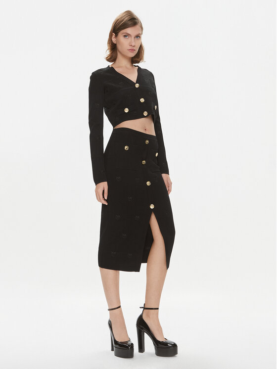 PINKO Pinko Ζακέτα Dinaro 101887 A16F Μαύρο Regular Fit