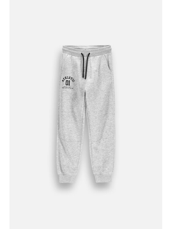 Coccodrillo Coccodrillo Teplákové kalhoty ZC6120104ABJ-003 Šedá Regular Fit