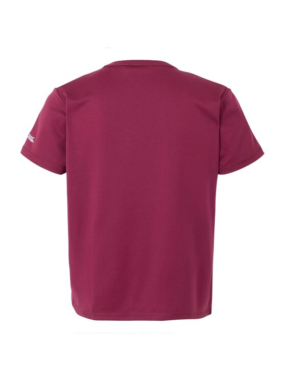 Regatta Regatta T-Shirt Alvarado IX Bordowy Short Fit