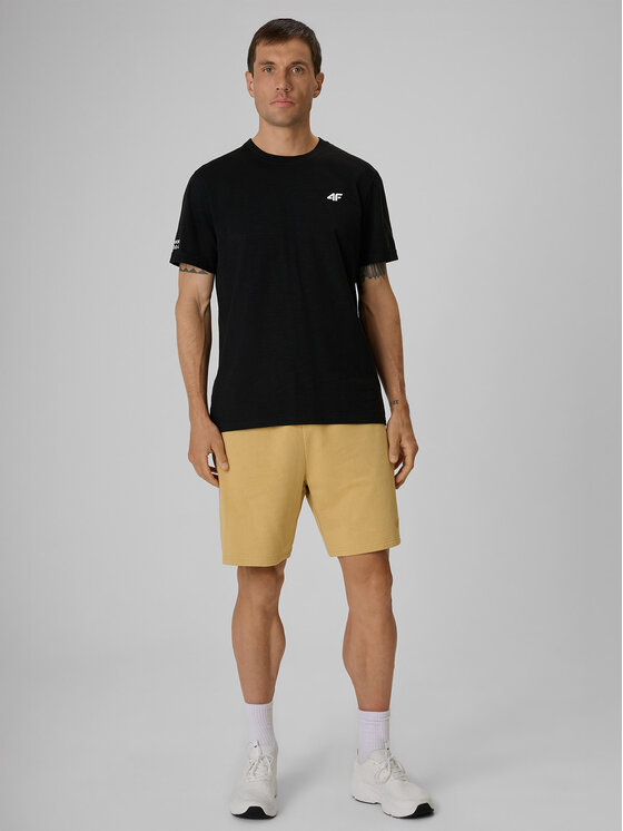 4F 4F T-Shirt LAKESIDE ESCAPE Czarny Regular Fit