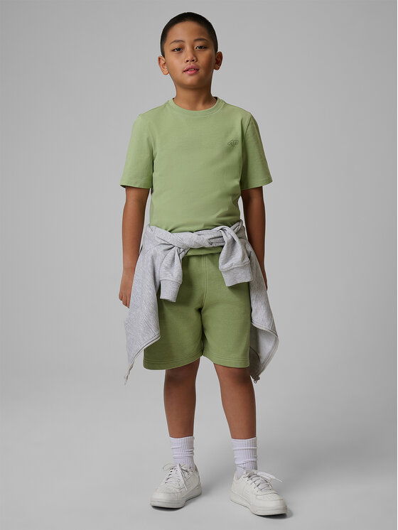 4F 4F Szorty sportowe BASIC+ Turkusowy Regular Fit