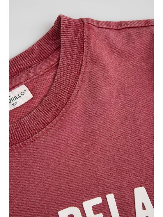 Coccodrillo Coccodrillo Tričko WC6143206FBJ-017 Bordová Regular Fit