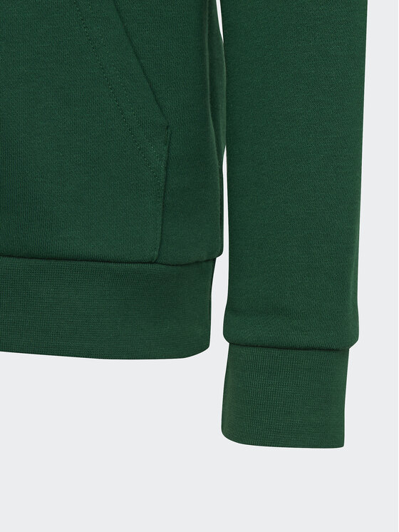 Felpa Trefoil Hoodie IB9984 Verde Regular Fit