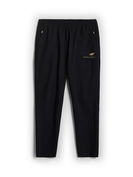 4F 4F Spodnie dresowe GOLDEN WARRIOR Czarny Regular Fit
